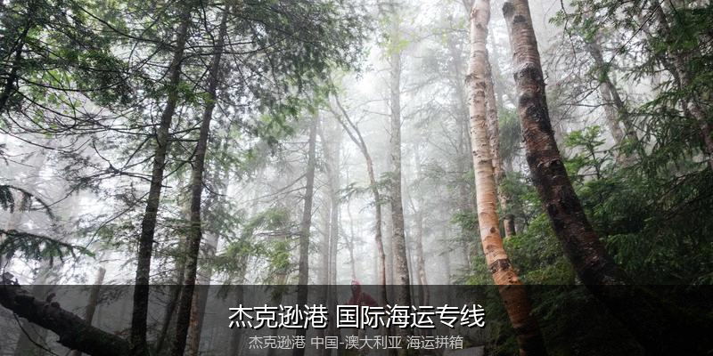 澳大利亚海运专线时效对比与选择指南