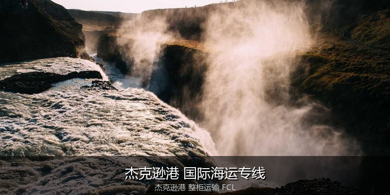海运拼箱与整柜运输优劣对比