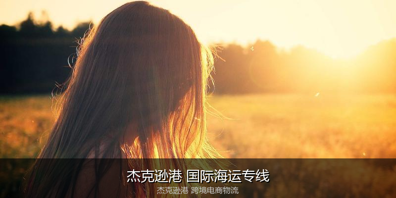 澳大利亚主要港口海运服务对比
